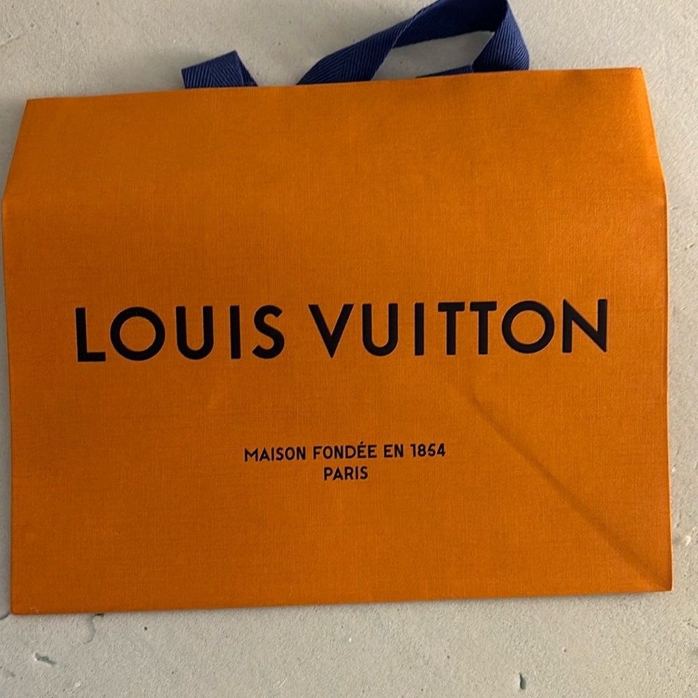 Louis Vuitton gift bag